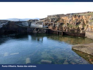 Punta Villoeira. Restos das cetáreas.
 