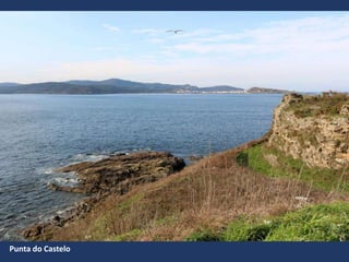 Punta do Castelo
 