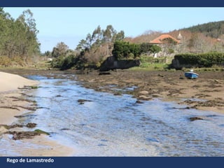 Rego de Lamastredo
 