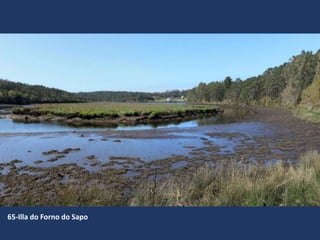 65-Illa do Forno do Sapo
 