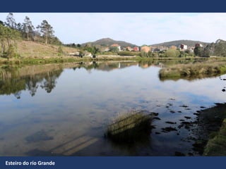 Esteiro do río Grande
 