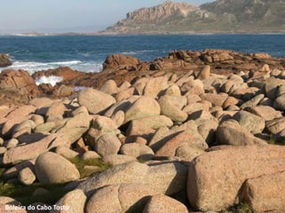 Boleira do Cabo Tosto
 