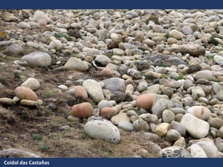 Coidal das Castañas
 