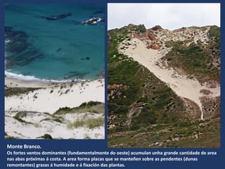 Monte Branco.
Os fortes ventos dominantes (fundamentalmente do oeste) acumulan unha grande cantidade de area
nas abas próximas á costa. A area forma placas que se manteñen sobre as pendentes (dunas
remontantes) grazas á humidade e á fixación das plantas.
 