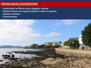 PROBLEMAS/AGRESIÓNS
-Construcións na liña de costa, dragados, recheos
-Presión humana nos espazos naturais e sobre as especies
-Especies invasoras
-Contaminación
 