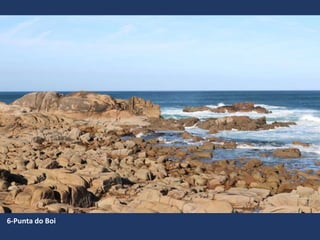 6-Punta do Boi
 