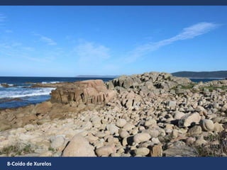 8-Coído de Xurelos
 