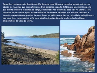 Camariñas conta con máis de 40 km de liña de costa repartidos case metade e metade entre o mar
aberto, e a ría, aínda que nesta última uns 8 km atópanse na parte de fóra case igualmente exposta
que a costa exterior e os demais ao abrigo, no interior e nos esteiros da Basa e do río Grande. Tanta
lonxitude da para moito e para acoller multitude de formas e variables, e se a isto lle sumamos a
especial composición dos granitos da zona, de cor vermella, o atractivo e a curiosidade multiplícanse o
que pode facer máis atractiva unha viaxe ata alí, ademais esta costa acolle varias localidades
emblemáticas da Costa da Morte.
 