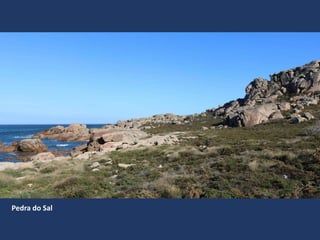 Pedra do Sal
 