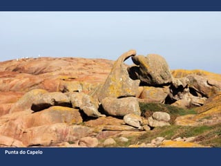 Punta do Capelo
 