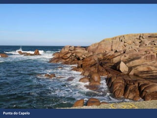 Punta do Capelo
 