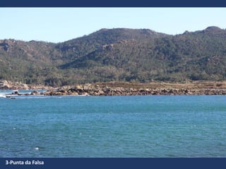 3-Punta da Falsa
 