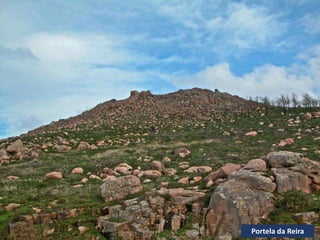 Portela da Reira
 
