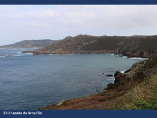 37-Enseada da Arneliña
 