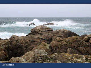A Betanceira
 