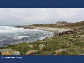 42-Coidal das Castañas
 