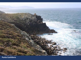 Punta Cachifarro
 