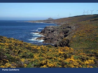 Punta Cachifarro
 