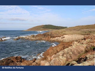 50-Boliños da Fortuna
 