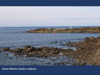 Punta Villoeira. Farola e cetáreas.
 