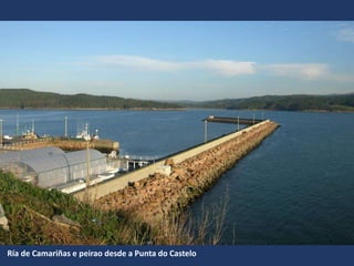 Ría de Camariñas e peirao desde a Punta do Castelo
 