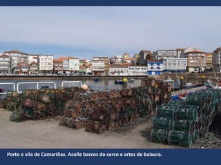 Porto e vila de Camariñas. Acolle barcos do cerco e artes de baixura.
 