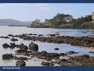 55-Punta da Ínsua
 