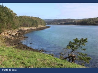 Punta da Basa
 