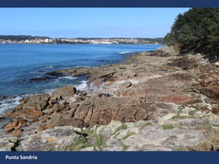 Punta Sandría
 