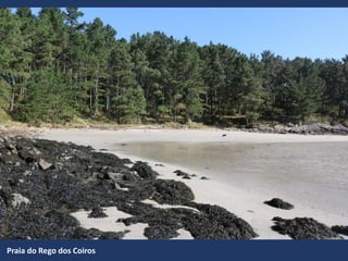 Praia do Rego dos Coiros
 