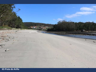 62-Praia do Ariño
 