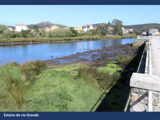 Esteiro do río Grande
 