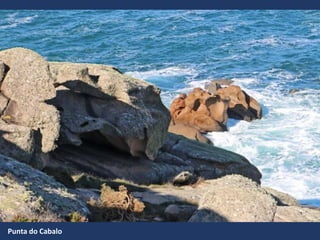 Punta do Cabalo
 
