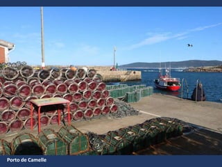 Porto de Camelle
 