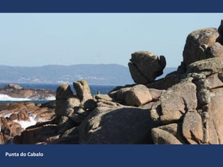 Punta do Cabalo
 