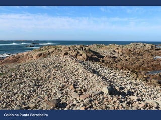 Coído na Punta Percebeira
 