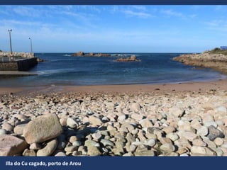 Illa do Cu cagado, porto de Arou
 