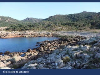 Seo e coído de Sabadelle
 