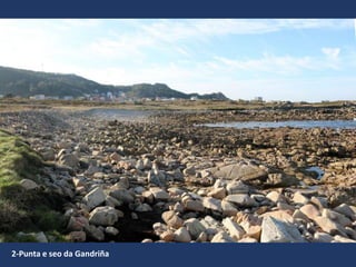 2-Punta e seo da Gandriña
 