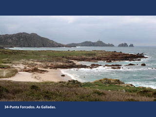 34-Punta Forcados. As Galladas.
 
