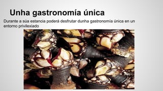 Unha gastronomía única
Durante a súa estancia poderá desfrutar dunha gastronomía única en un
entorno privilexiado
 