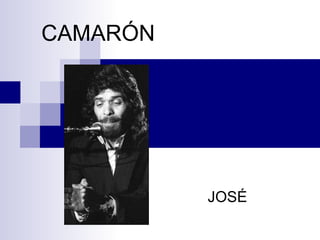 CAMARÓN  DE LA ISLA JOSÉ 