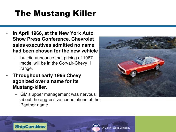 chevy camaro a small vicious animal that eats mustangs camaro animal