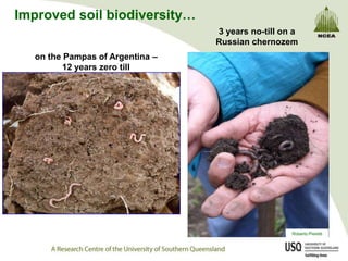 Improved soil biodiversity…
                                  3 years no-till on a
                                  Russian chernozem
   on the Pampas of Argentina –
          12 years zero till




                                                    Roberto Pieretti
 
