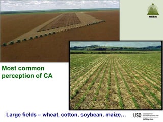 Most common
perception of CA



                                          Jose Benites, FAO




 Large fields – wheat, cotton, soybean, maize…
 