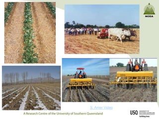S. AmerSouth
        Video
 