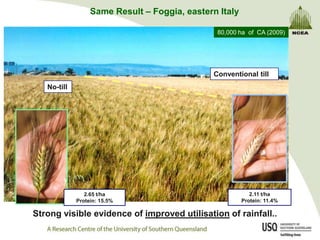 Same Result – Foggia, eastern Italy

                                                80,000 ha of CA (2009)




                                               Conventional till
   No-till




                2.65 t/ha                                  2.11 t/ha
             Protein: 15.5%                             Protein: 11.4%

Strong visible evidence of improved utilisation of rainfall..
 