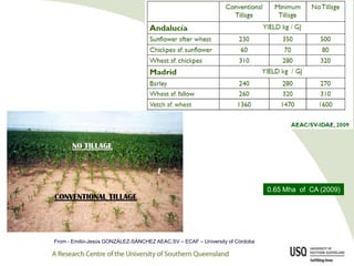 0.65 Mha of CA (2009)




From - Emilio-Jesús GONZÁLEZ-SÁNCHEZ AEAC.SV – ECAF – University of Córdoba
 
