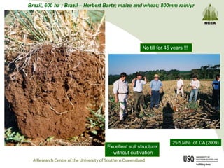 Brazil, 600 ha ; Brazil – Herbert Bartz; maize and wheat; 800mm rain/yr




                                                  No till for 45 years !!!




                                                                 25.5 Mha of CA (2009)
                                 Excellent soil structure
                                  - without cultivation
 