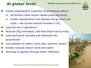 At global level:                      Multiple ecosystem level benefits of CA



Carbon sequestration (reduction of greenhouse effect):
    CA farmers could receive carbon-grant payments;
    Carbon sequestration and reduced energy (fuel) use
    could = the human-induced increase in CO2.
Less fuel use in agriculture
Reduced CO2e emissions, and heat (fossil fuel burning)
Less leaching of nutrients and chemicals into
groundwater.
Less pollution of waters (river, lake, reservoir, ocean)
Greatly reduced erosion (wind and water)
Recharge of aquifers through better infiltration
 